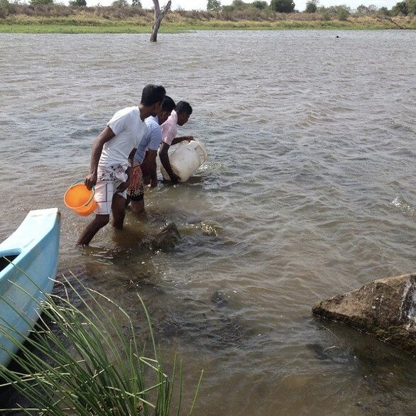 Divron staff wading out to release post-larvae into an inland reservoir