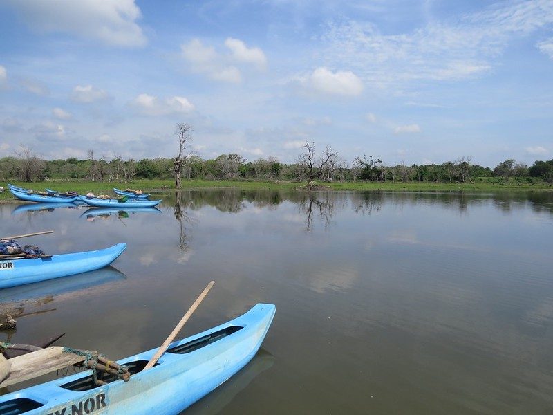 Outrigger canoes moored on a still inland reservoir at first light