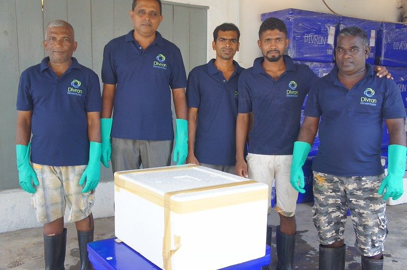 The packing team with a sealed cold box, Divron crates stacked behind them